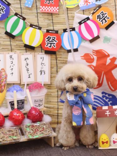 20240707サラちゃん